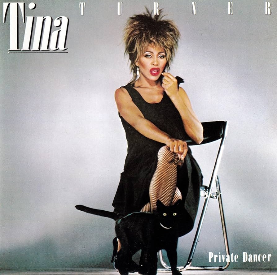 Tina Turner Private Dancer レコード Tina Turner / Private Dancer - DAIEIRECORD